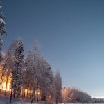 trees covered with snow under blue sky during daytime