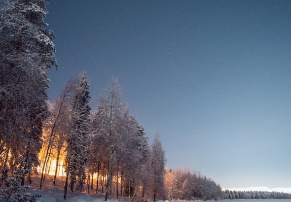 trees covered with snow under blue sky during daytime