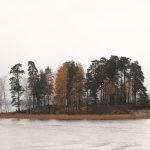 a small island in the middle of a lake